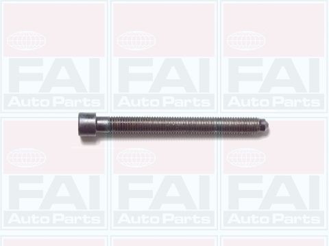 FAI AutoParts Bolt Kit, cylinder head Article number: B1006 cheaply
