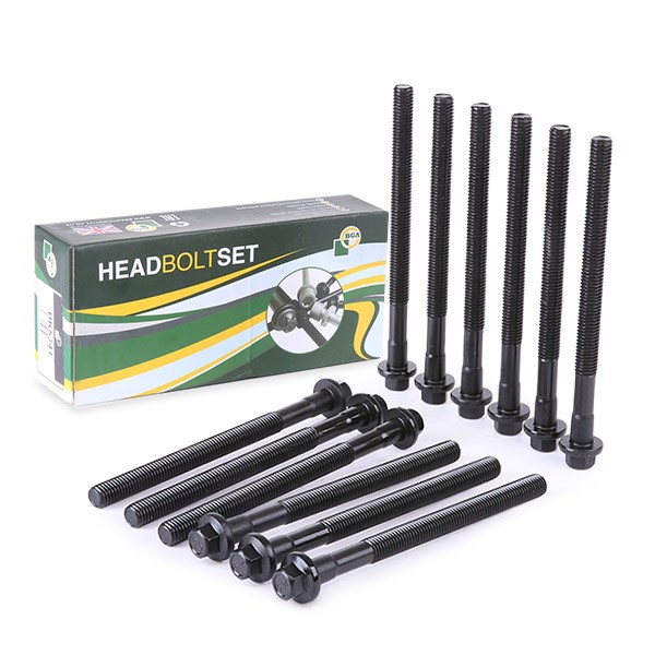 BGA Bolt Kit, cylinder head Article number: BK5341 cheaply