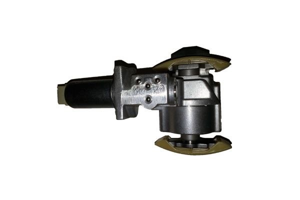 BUGIAD BSP24713 Camshaft adjustment valve PHAETON 4.2 V8 4motion 335 PS Petrol 2016