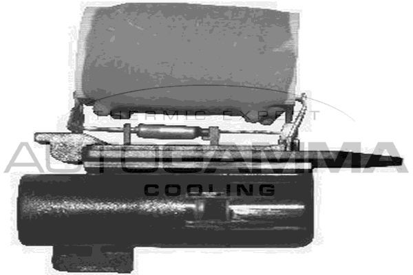 AUTOGAMMA Pre-resistor, electro motor radiator fan Article number: GA15521 cheaply