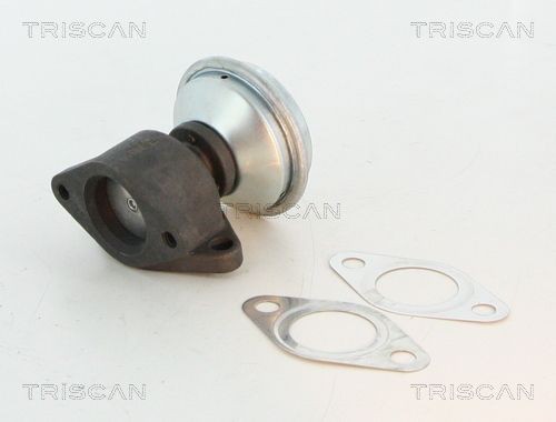 TRISCAN EGR-klapp Artikli number: 8813 27100 soodsalt