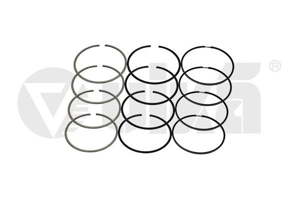VIKA Piston Ring Kit Article number: 11981570401 cheaply