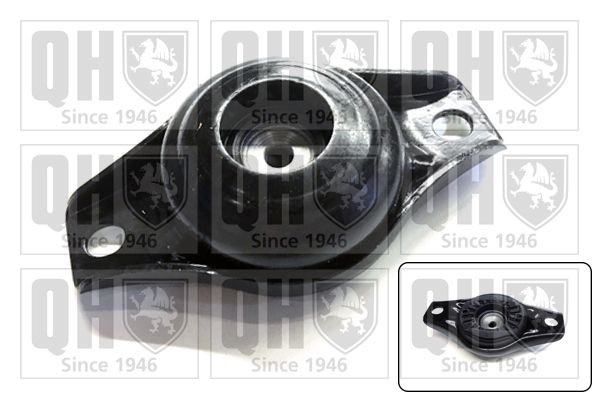 QUINTON HAZELL Top strut mount Article number: EMR4900 cheaply