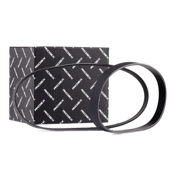 RIDEX V-Ribbed Belt Set Article number: 542R0018 cheaply
