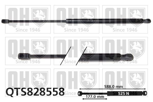 QUINTON HAZELL Tailgate strut Article number: QTS828558 cheaply