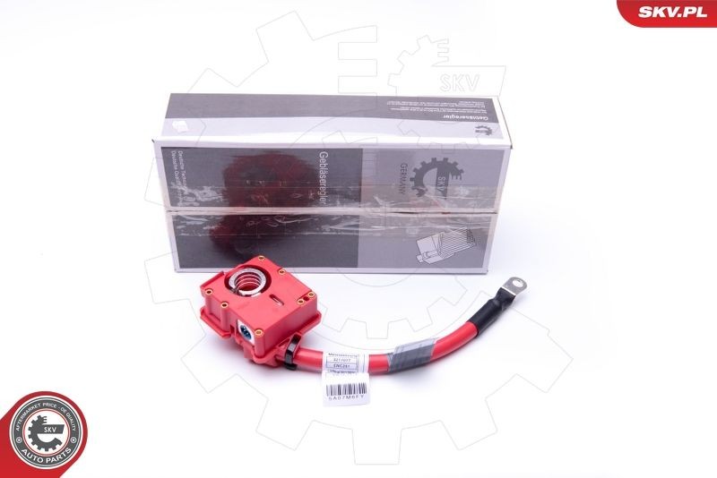 ESEN SKV Connector Cable, starter battery Article number: 96SKV309 cheaply