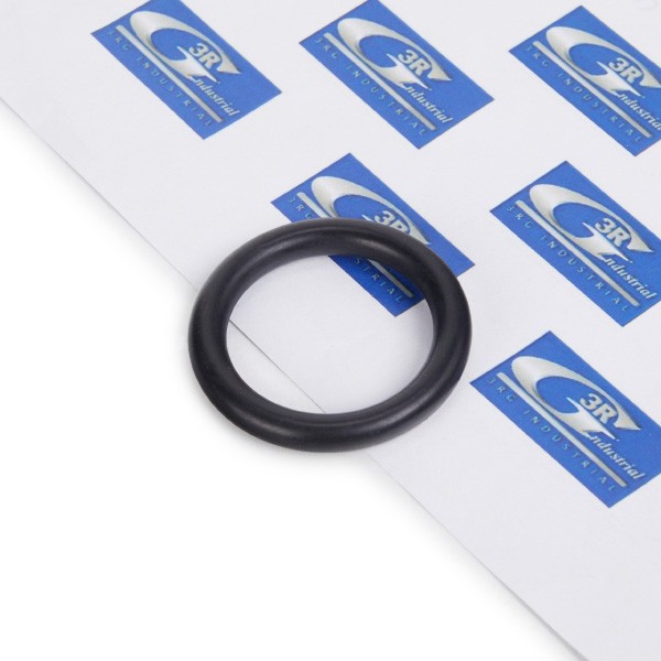 3RG Inlet manifold gasket Article number: 84219 cheaply