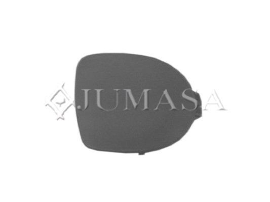 JUMASA 28024077 Cap, fog light CLIO 1.4 (B/CB0C, B/CB0S) 75 PS Petrol 2016