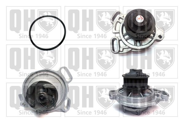 QUINTON HAZELL Water pump Article number: QCP2664 cheaply
