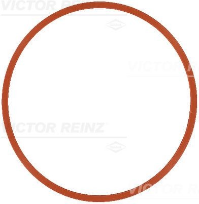 REINZ Inlet manifold gasket Article number: 71-17585-00 cheaply