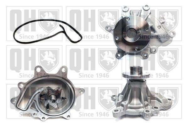 QUINTON HAZELL Water pump Article number: QCP3952 cheaply