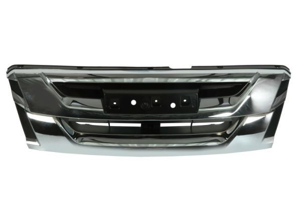 BLIC Radiator Grille Article number: 5601-00-3053997P cheaply