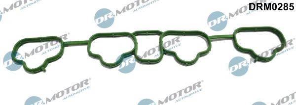 DR.MOTOR AUTOMOTIVE Exhaust manifold gasket Article number: DRM0285 cheaply