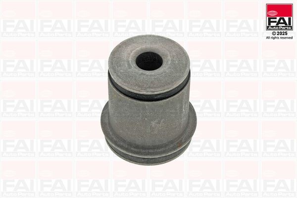 FAI AutoParts Puks Artikli number: SS10774 soodsalt