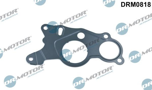 DR.MOTOR AUTOMOTIVE Tihend, vaakumpump Artikli number: DRM0818 soodsalt