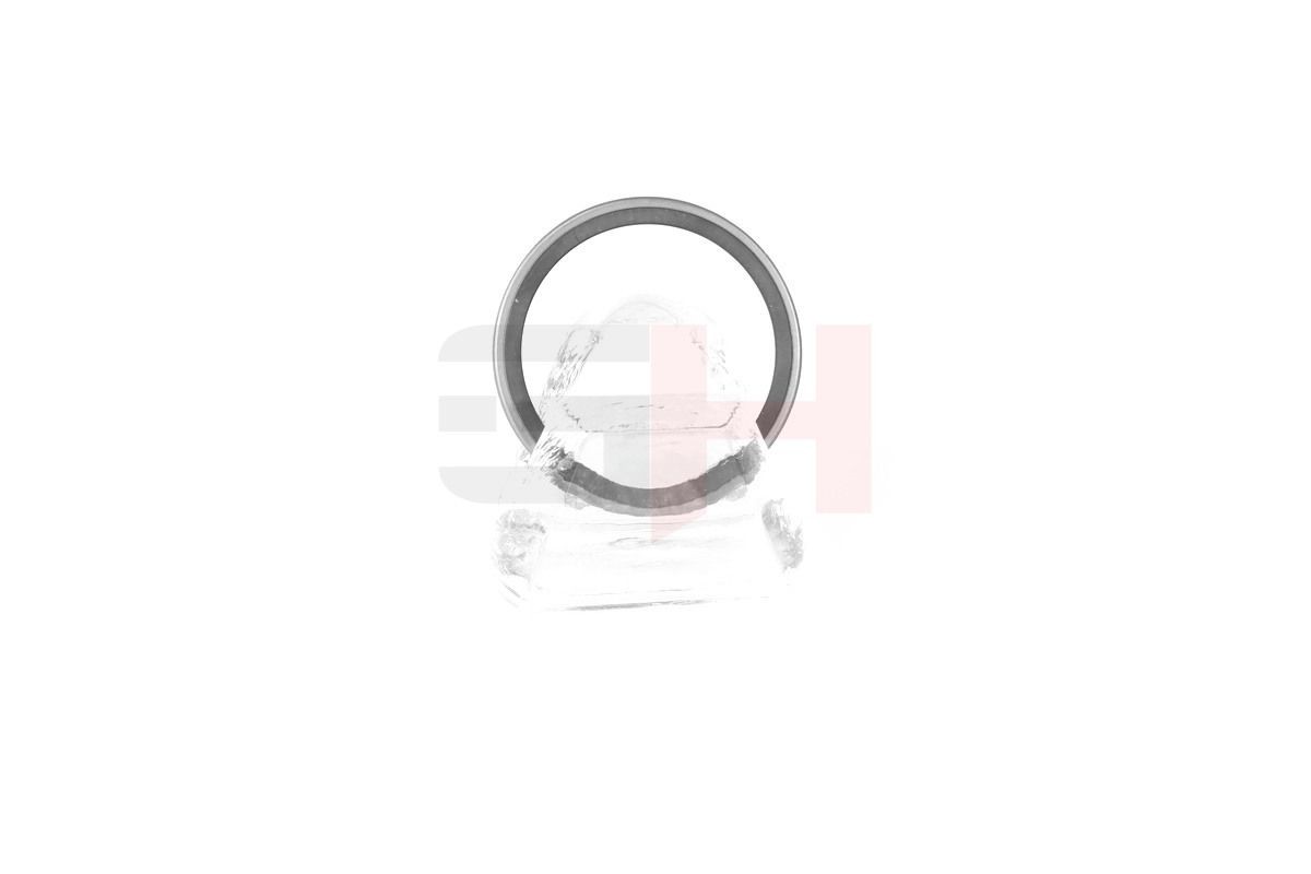 GH ABS sensor ring Article number: GH-493910 cheaply