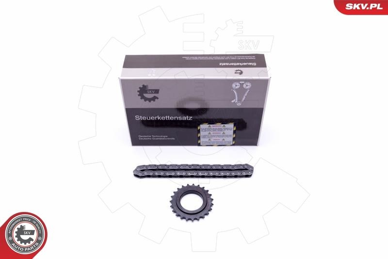 ESEN SKV 21SKV100 Chain Set, oil pump drive ESPACE 2.0 dCi (JK01, JK02, JK1J, JK1K, JK1H) 150 PS Diesel