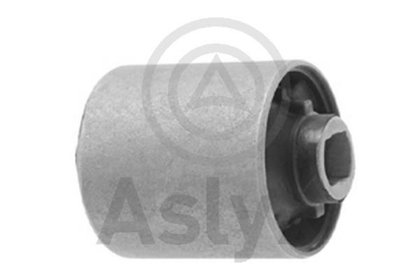 Aslyx AS-506857 Mounting, differential NAVARA 2.5 dCi 4WD (D40TT, D40T, D40M, D40BB) 190 PS Diesel