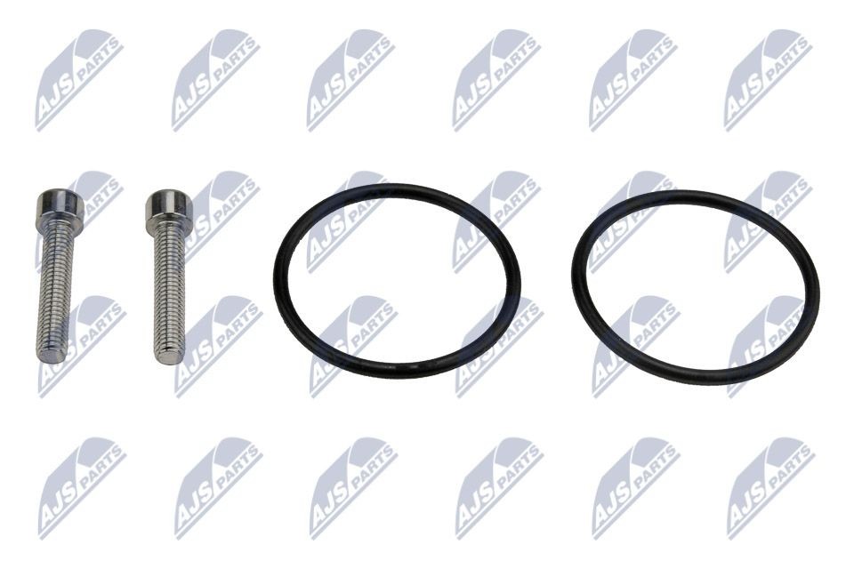 NTY EZC-AU-115 Kit di riparazione, pompa accop. lamellare (4 ruote motrici) PASSAT 1.8 TSI 152 CV Benzina 2011