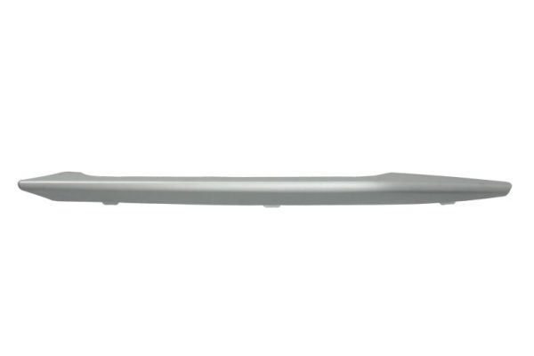 BLIC Bumper moulding Article number: 6502-07-0062927P cheaply
