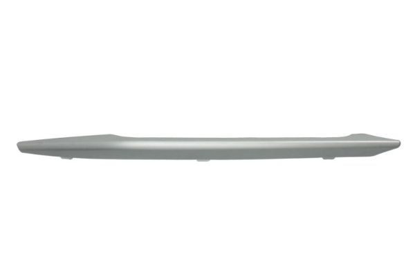 BLIC Bumper moulding Article number: 6502-07-0062928P cheaply
