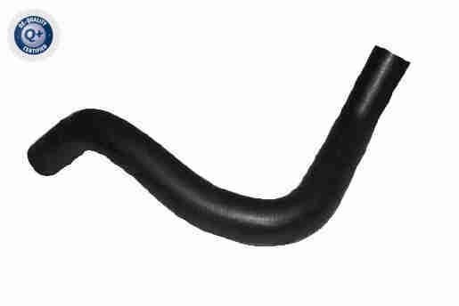 VAICO Radiator hose Article number: V25-2582 cheaply