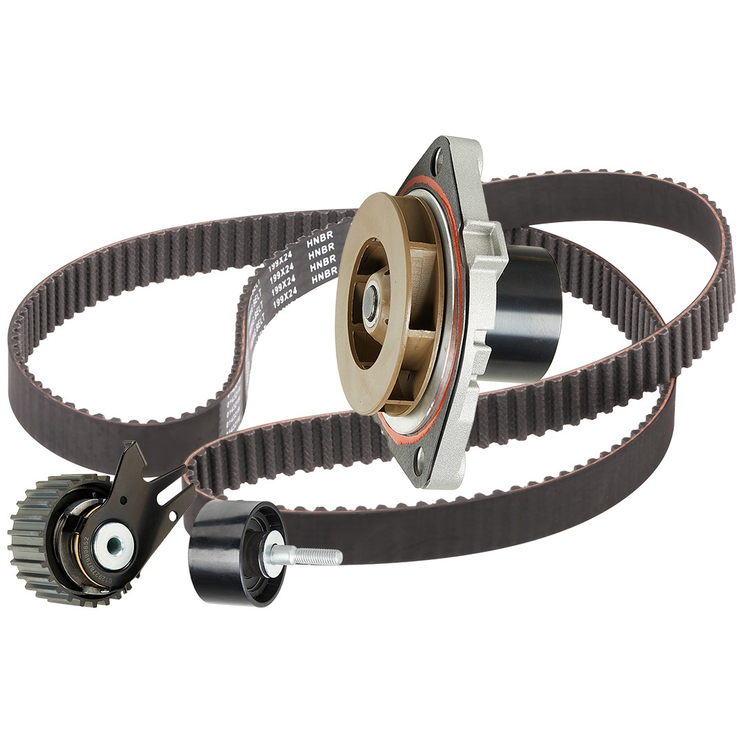 RIDEX Water pump and timing belt kit Article number: 3096W0517 cheaply