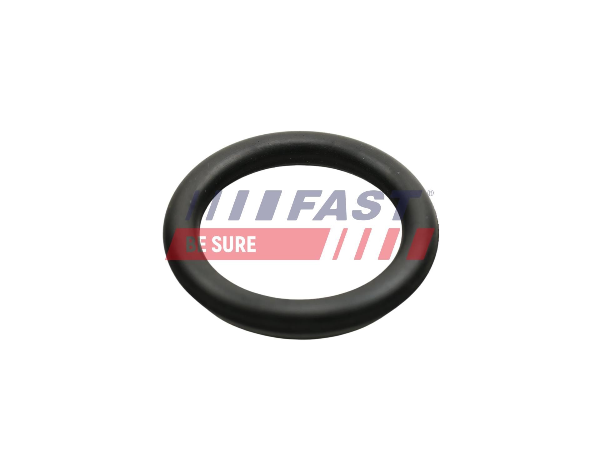 FAST Inlet manifold gasket Article number: FT49426 cheaply