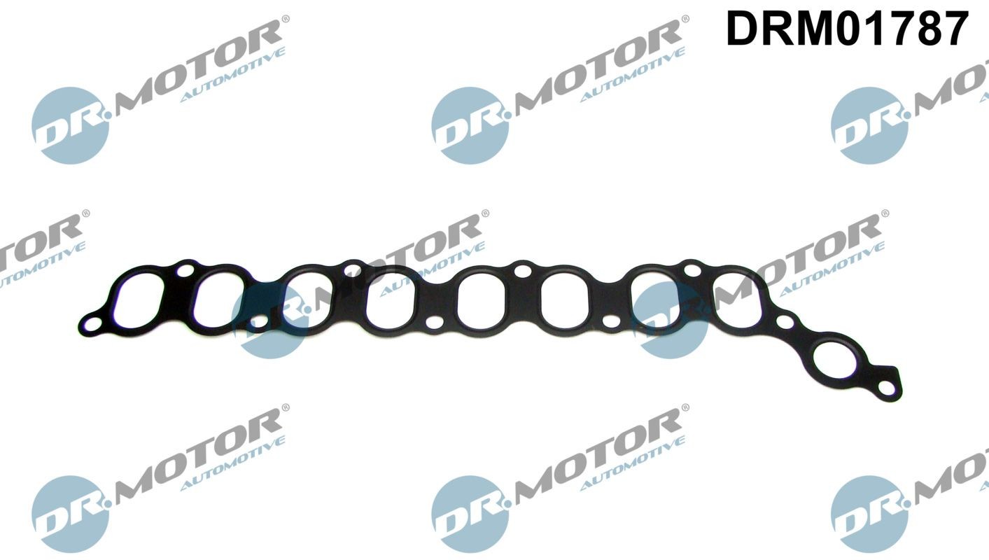DR.MOTOR AUTOMOTIVE Inlet manifold gasket Article number: DRM01787 cheaply