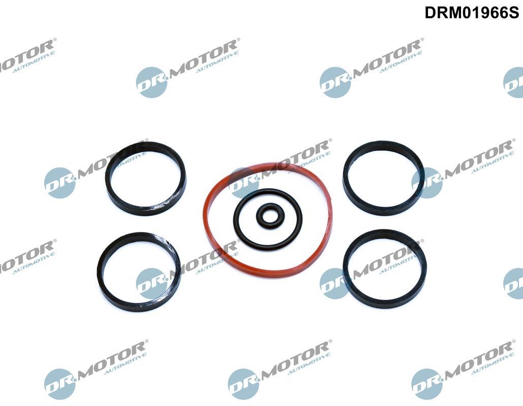 DR.MOTOR AUTOMOTIVE Gasket Set, intake manifold Article number: DRM01966S cheaply