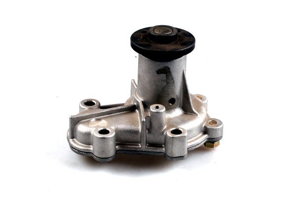 HEPU Water pump Article number: P087 cheaply