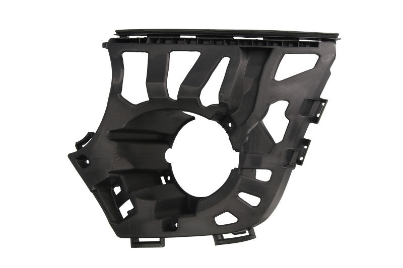 BLIC Holder, fog light Article number: 6502-07-4002993P cheaply
