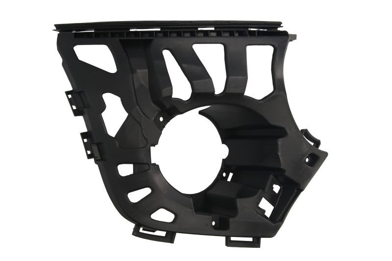 BLIC Holder, fog light Article number: 6502-07-4002994P cheaply