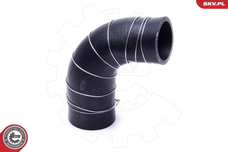 ESEN SKV Tailgate strut Article number: 52SKV855 cheaply