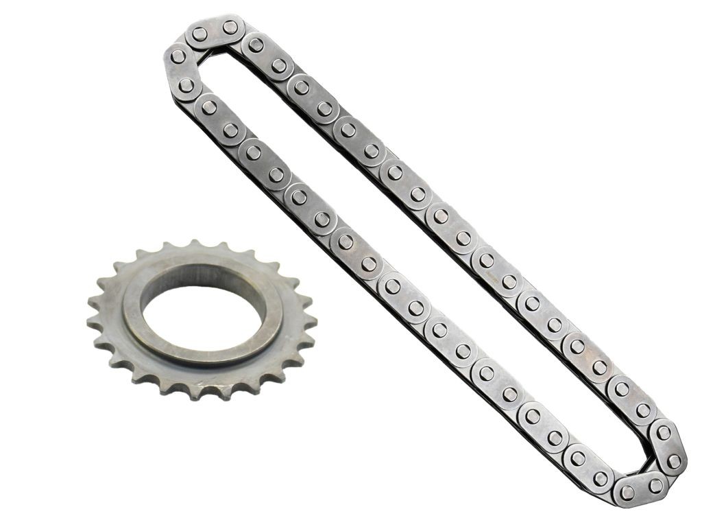 ABAKUS 142-01-001 Chain, oil pump drive ESPACE 2.0 dCi (JK01, JK02, JK1J, JK1K, JK1H) 150 PS Diesel