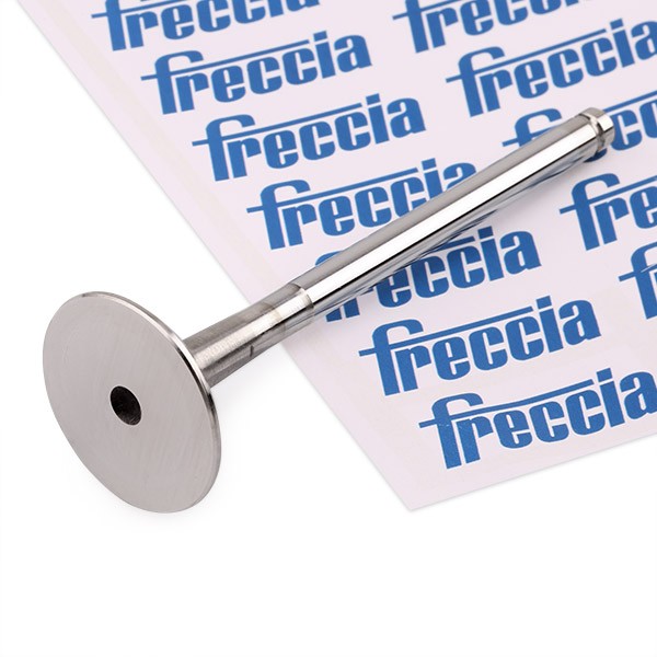 FRECCIA Exhaust valve Article number: R4575/RCR cheaply