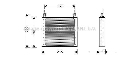 AVA COOLING SYSTEMS Engine oil cooler Article number: RT3146 cheaply