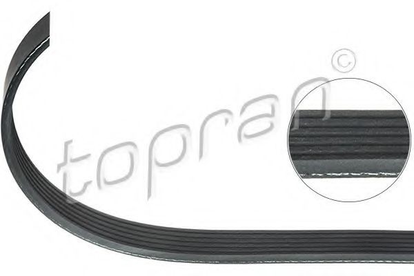 TOPRAN Serpentine belt Article number: 401 938 cheaply