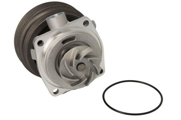 THERMOTEC Water pump Article number: D1F070TT cheaply