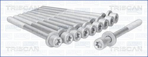 TRISCAN Bolt Kit, cylinder head Article number: 98-5002 cheaply
