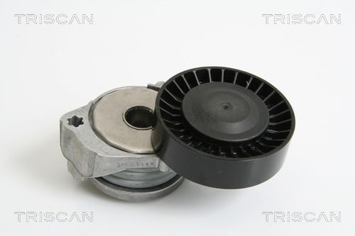 TRISCAN Tensioner pulley Article number: 8641 103026 cheaply
