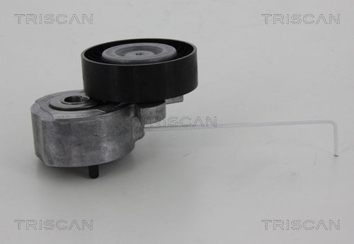 TRISCAN Tensioner pulley Article number: 8641 103037 cheaply