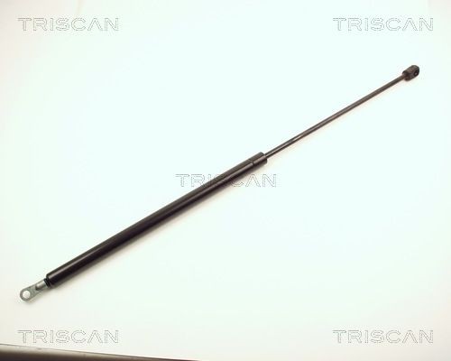 TRISCAN Tailgate strut Article number: 8710 3811 cheaply
