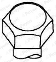 PAYEN Bolt Kit, cylinder head Article number: HBS520 cheaply