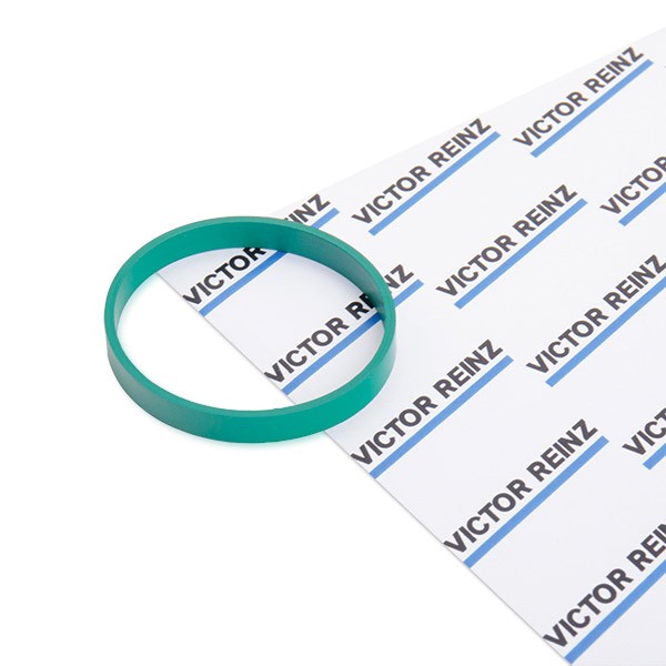 REINZ Inlet manifold gasket Article number: 40-77586-00 cheaply