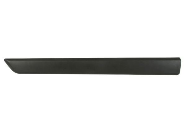 BLIC Door molding Article number: 5703-04-0553571P cheaply
