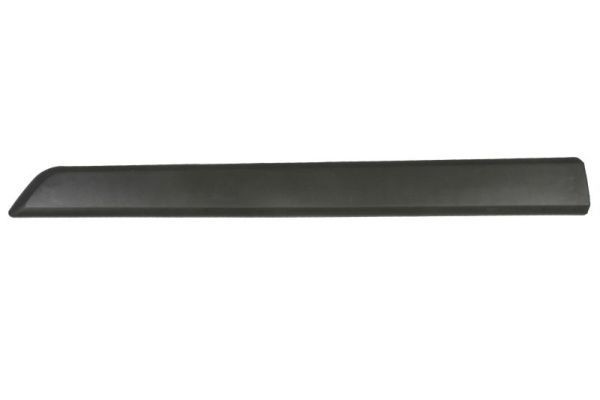 BLIC Door molding Article number: 5703-04-0553572P cheaply