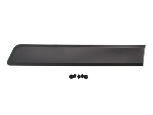BLIC Door molding Article number: 5703-04-0553573P cheaply