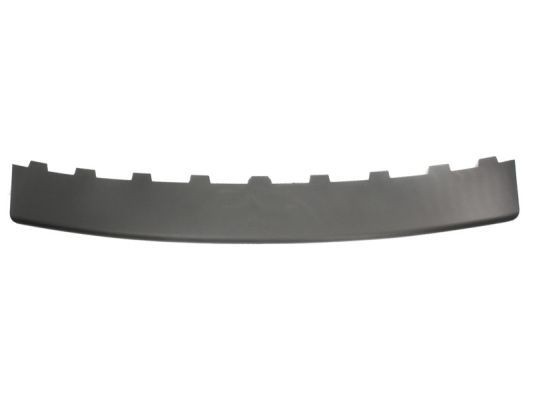 BLIC 5703-05-5514973P Ehis- / kaitseliist, Põrkeraud 307 1.6 Flex 113 HP Bensiin/etanool 2012