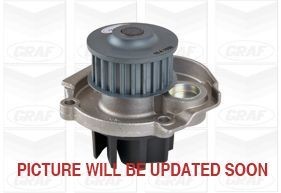 GRAF Water pump Article number: PA1030 cheaply